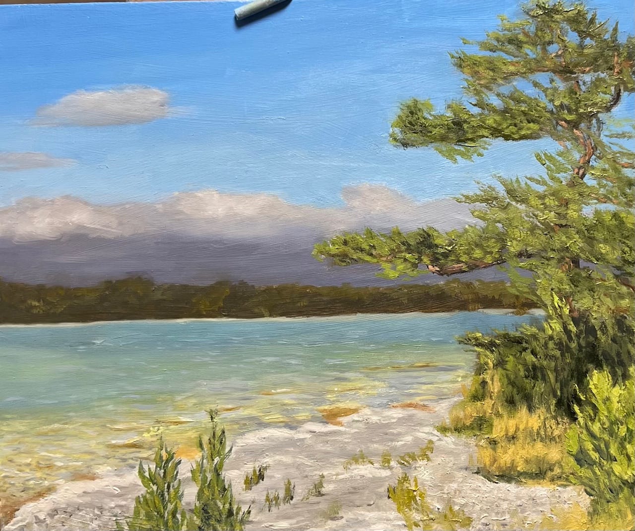 Oljemålning av ljust vatten, strand och vindpinade tallar på Fårö.
